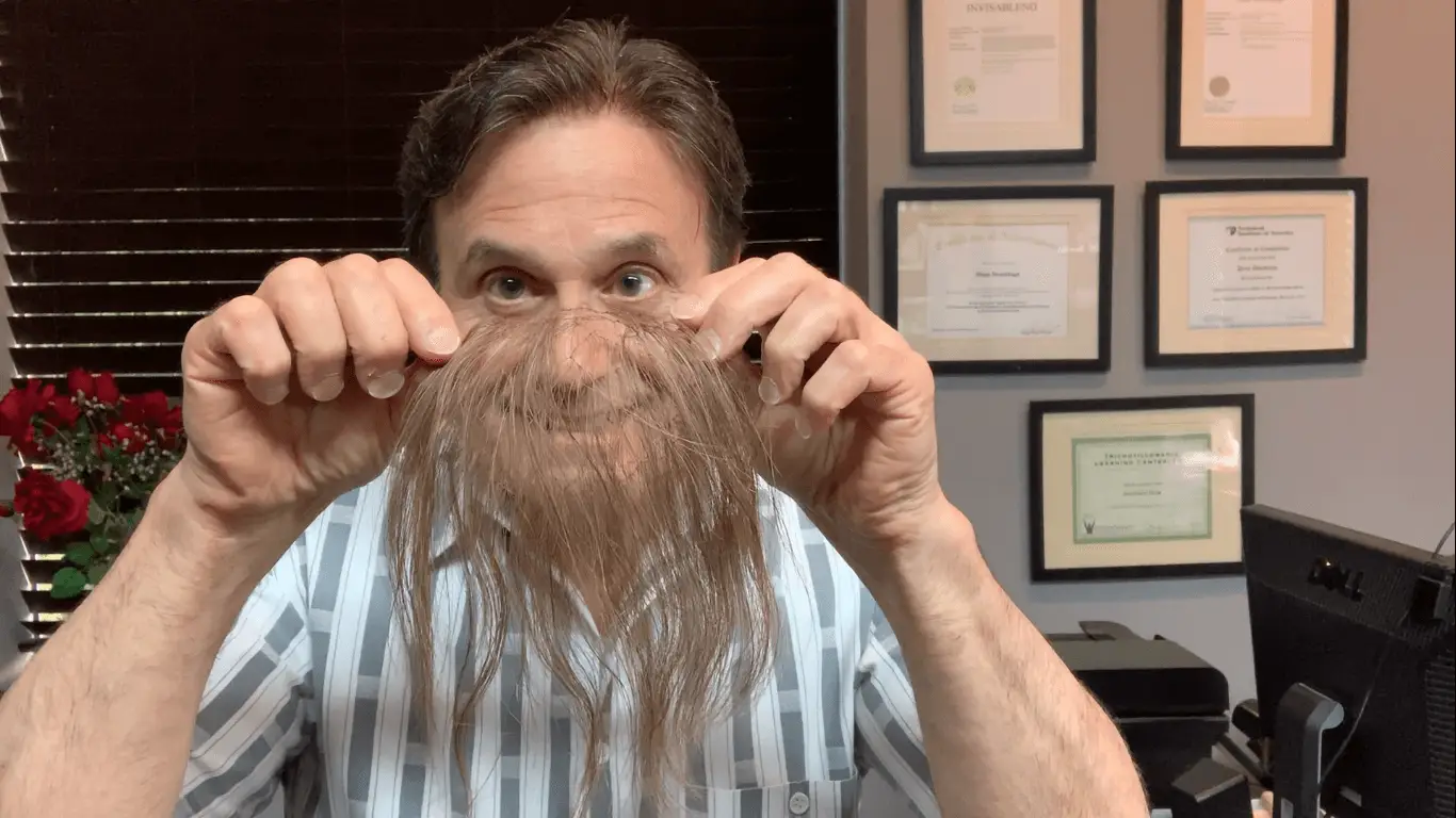 Dino Holding Finished Micro Strand